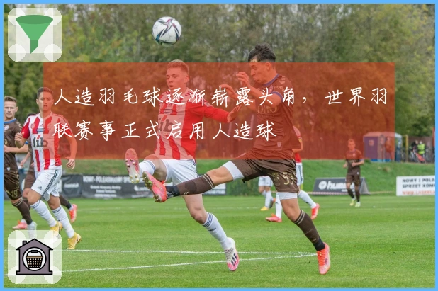 人造羽毛球逐渐崭露头角，世界羽联赛事正式启用人造球