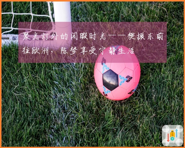 聚光灯外的闲暇时光——樊振东前往欧洲，陈梦享受宁静生活